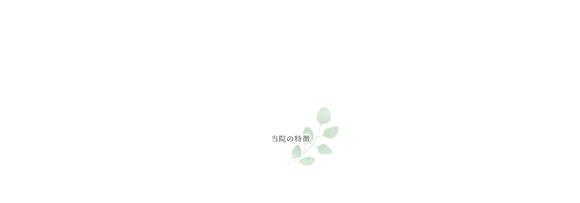 当院の特徴